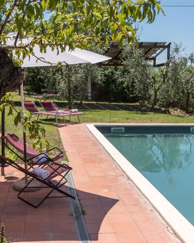Bellaria: Piscina, Hacienda, Inmuebles, Jardín, Yarda, Sombra, Villa, Patio Interior, Casa De Campo, Paisajismo