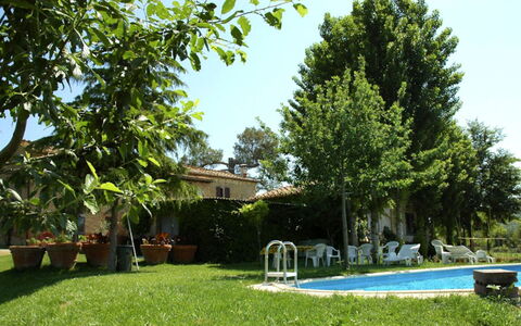 Casalunga: Jardín, Patio Interior, Césped, Sombra, Mueble Para Exteriores, Yarda, Silla, Hacienda, Inmuebles, Paisajismo