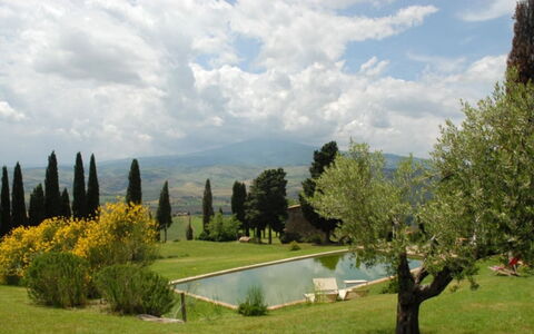 Vallocchie: Árbol, Hierba, Paisaje, Llanura, El Terreno Del Lote, Jardín, Paisajismo, Prado, Césped