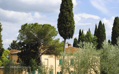 Villa Il Poggio: Árbol, Hoja, Rama, Plantas Leñosas, Hojas Perennes, Paisajismo, Familia De Pino