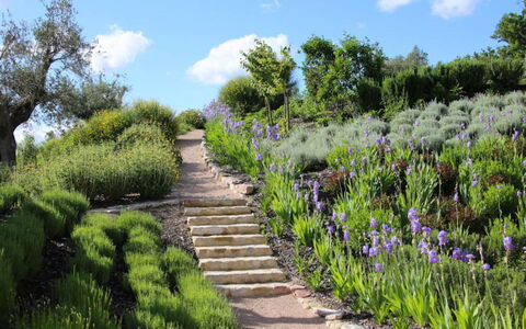 Villa del Cammino: Vegetación, Arbusto, Jardín, Paisaje, Planta De La Comunidad, Cobertura Del Suelo, Primavera, Jardín Botánico, Sendero