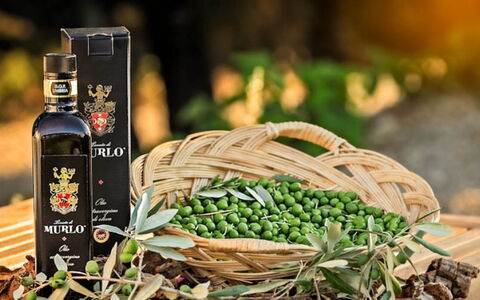 Villa Santa: Botella, Vino, Botella De Vidrio, Comida, Produce, Los Alimentos Naturales