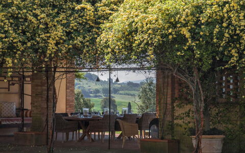 Villa Moscato: Jardín, Sombra, Planta De Casa, Patio Interior, Maceta