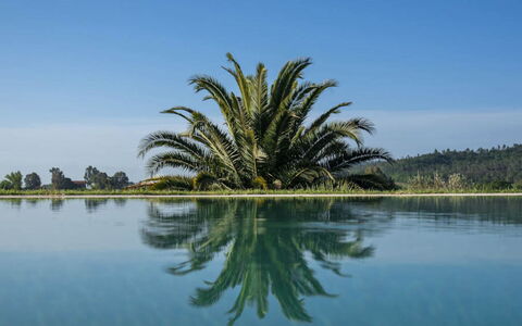 Villa Moscato: Azul, Agua, Cuerpo De Agua, Reflexión, Lago, Piscina, Reservorio, Zona Tropical, Piscina De Reflejo