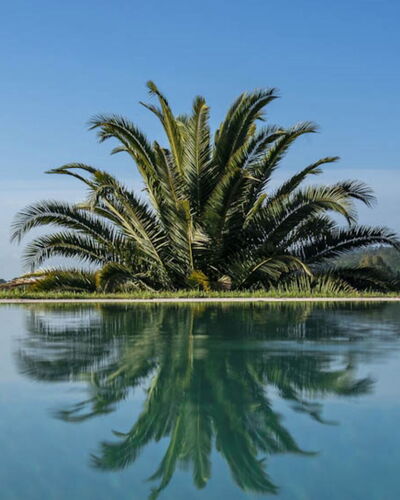 Villa Moscato: Azul, Agua, Cuerpo De Agua, Reflexión, Lago, Piscina, Reservorio, Zona Tropical, Piscina De Reflejo