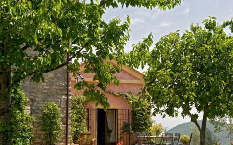 Villa Savino: Hoja, Arbusto, Primavera, Jardín, Sombra, Plantación