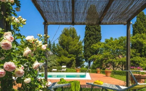 Podere Contignano: Arbusto, Jardín, Primavera, Paisajismo, Sombra, Patio Interior, Yarda, Eco Hotel, Hacienda, Jardín Botánico