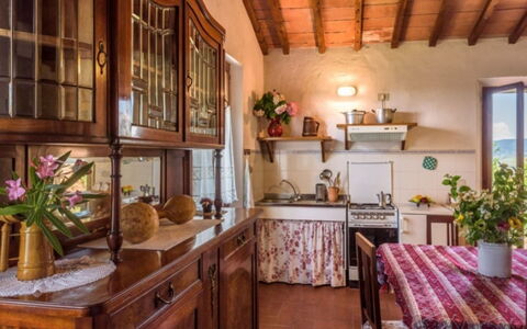 Podere del Mezzadro: Mueble, Madera, Diseño De Interiores, Piso, Mesa, Casa, Gabinetes, Cocina Y Comedor Mesa, Habitación, Cocina