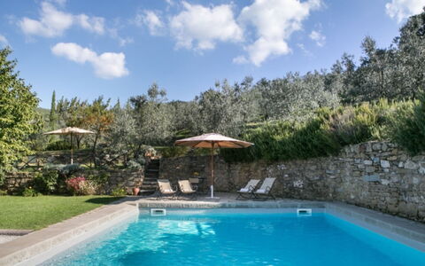 Villa Bel Monte: Piscina, Azul, Recurso, Mueble Para Exteriores, Eco Hotel, Jardín, Paisajismo, Sombra, Fuente De Agua, Patio Interior