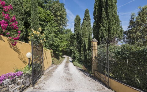 Villa Lucente: Hoja, Vegetación, Arbusto, Jardín, Paisajismo, Entrada De Coches, Hojas Perennes, Sendero, Alerce