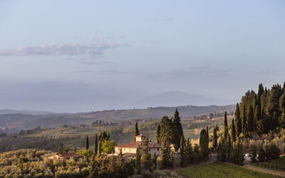 Agatea