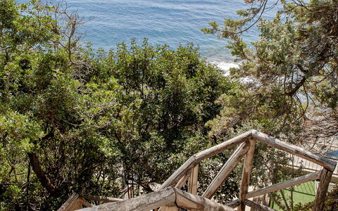 Vistamare: Madera, Pretil, Mar, Costa, Costeras Y Los Accidentes Geográficos Oceánico, Oceano, Escalera, Apuntalar, Cerca, Zona Tropical