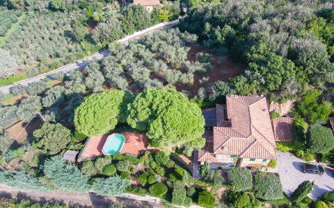 Villa Magazzini: Vegetación, Paisaje, Inmuebles, Vista Panorámica, Fotografía Aérea, Suburbio, Plantación, Paisajismo