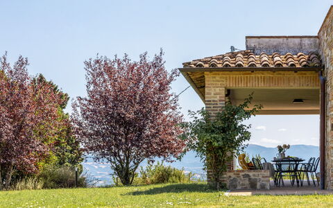 Il Pino Apartment: Paisaje Natural, Arbusto, Colina, El Terreno Del Lote, Prado, Jardín, Valle, Paisajismo, Cresta