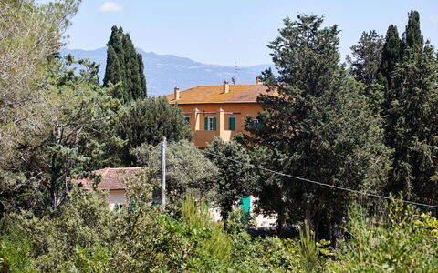 Poggio Cavallino Private Pool, Wifi, Maremma: Árbol, Hoja, Arbusto, Casa, Alerce, Hojas Perennes, Familia De Pino