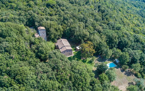 Villa Linchiano: Árbol, Entorno Natural, Naturaleza, Vegetación, Bosque, Planta De La Comunidad, Área Rural, Selva, Inmuebles