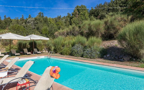 Villa Belvedere: Piscina, Recurso, Mueble Para Exteriores, Sunlounger, Eco Hotel, Paisajismo, Thermae, Hotel, Hacienda, Sillón