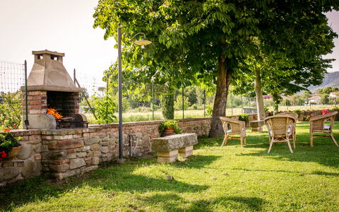 Villa Gelsi: Jardín, Césped, Sombra, Mueble Para Exteriores, Yarda, Paisajismo, Patio Interior, Parque, Silla, Eco Hotel