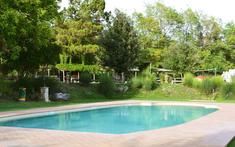 Appartamento Poggiolo, Wifi, Near Perugia: Piscina, Árbol, Recurso, Sombra, Jardín, Mueble Para Exteriores, Ocio, Patio Interior, Paisajismo, Fuente De Agua