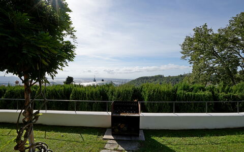 Villa Corsanico: Luz De Sol, Jardín, Césped, Sombra, Paisajismo, Hojas Perennes, Parque