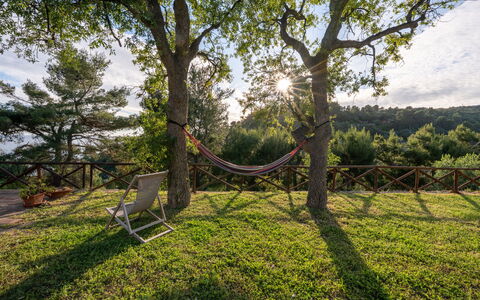 Villa Argentina: Rama, Madera, Mueble, Paisaje, El Maletero, Luz De Sol, Sombra, Jardín, Mueble Para Exteriores, Ramita