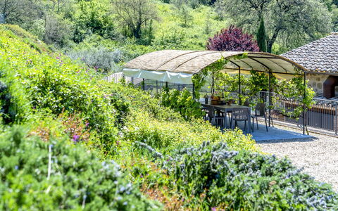 Villa Trasimena: Vegetación, Arbusto, Jardín, Paisaje, Planta De La Comunidad, Cobertura Del Suelo, Primavera, Paisajismo, Jardín Botánico