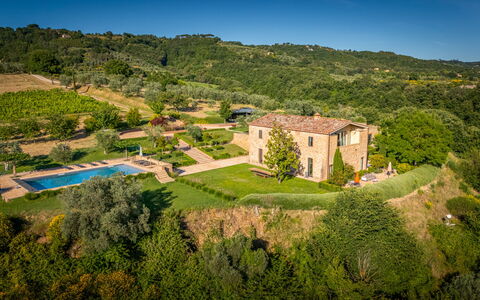 Podere Vigna Nuova: Inmuebles, Comida, Plantación, Agricultura, Piscina, Villa, Casa De Campo