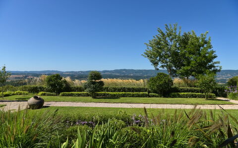 Podere Vigna Nuova: Cielo, Verde, Naturaleza, Árbol, Hierba, Entorno Natural, Hoja, Paisaje Natural, Vegetación