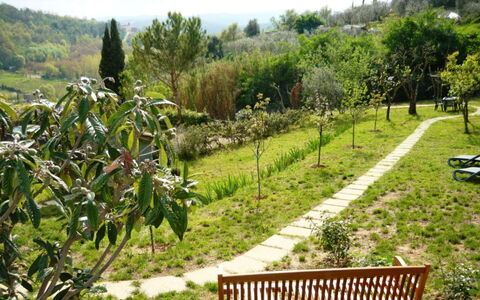 Podere Oliveta: Vegetación, Jardín, Arbusto, Planta De La Comunidad, Cobertura Del Suelo, Primavera, Jardín Botánico, Plantación, Paisajismo, Pasarela