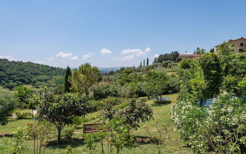 Podere Oliveta: Vegetación, Arbusto, Planta De La Comunidad, Área Rural, Hill Station, Plantación, Jardín, Shrubland, Jardín Botánico, Chaparral