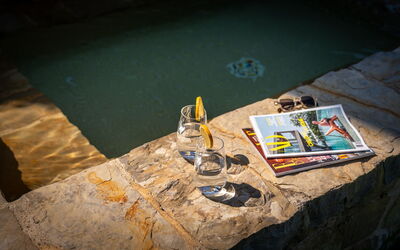 Town House Garden: Losa, Piscina, Fuente De Agua