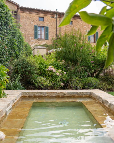 Town House Garden: Arbusto, Jardín, Fuente De Agua, Paisajismo, Patio Interior, Cobertura, Patio, Piscina, Losa, Jardín Botánico