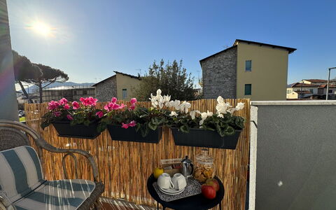 Sto Bene Qua: Maceta, Balcón, Planta De Casa, Floristas, Diseño Floral, Patio