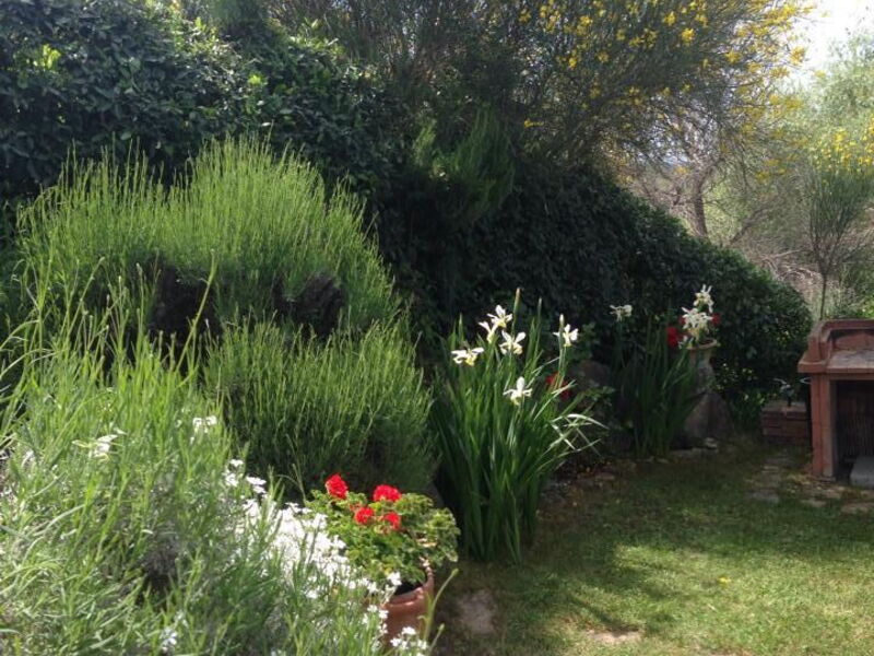 Casa Viola Pool, Wifi, Montaione