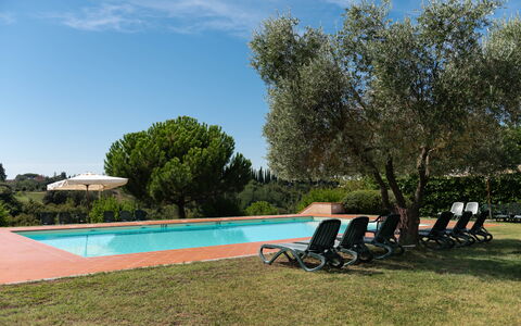 Country House In Tuscan Hills: Piscina, Recurso, Hacienda, Jardín, Inmuebles, Paisajismo, Eco Hotel, Sombra, Mueble Para Exteriores, Villa