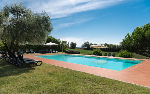 Green Hill Apartment In Tuscan Countryside: Inmuebles, Piscina, Hacienda, Paisajismo, Recurso, Plantación, Eco Hotel, Villa, Casa De Campo