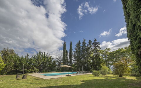 Cottage Monti Pet Friendly With Shared Pool: Árbol, El Terreno Del Lote, Sombra, Alerce, Paisajismo, Hojas Perennes, Piscina, Familia De Pino