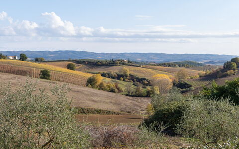 Villa L'elsa Beautiful Country Home With View: Vegetación, Paisaje Natural, Pradera, Ecorregión, Paisaje, Llanura, Colina, Planta De La Comunidad, El Terreno Del Lote, Área Rural