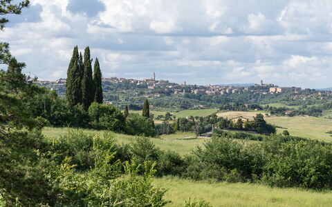 Capanna Di Elfo: Hierba, Pradera, Vegetación, Horizonte, Paisaje, Ecorregión, Llanura, El Terreno Del Lote, Planta De La Comunidad, Prado