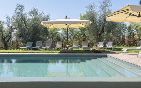 Villa del Mangia - Luxury Villa with Infinity Pool: Piscina, Recurso, Mueble Para Exteriores, Sombra, Jardín, Sunlounger, Eco Hotel, Paisajismo, Césped, Silla