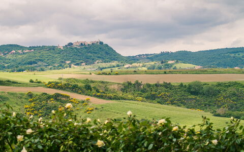 Villa Petrosa: Your Private Escape Overlooking the: Verde, Vegetación, Paisaje Natural, Colina, Pradera, Paisaje, Área Rural, Plantación, Llanura, Campo