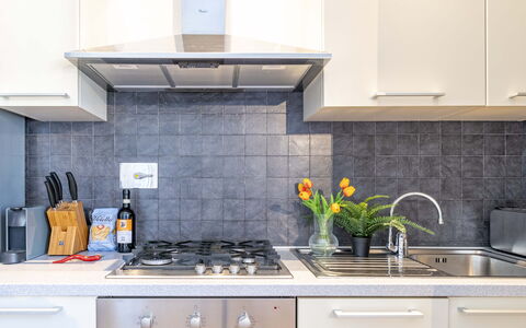 Green Suite Florence: Aparato De Cocina, Cocina, Mostrador, Electrodoméstico, Estufa De Cocina, Electrodoméstico, Gabinetes, Estufa, Estufa De Gas, Fregadero