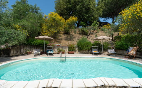 Casa Livia: Piscina, Mueble, Mueble Para Exteriores, Silla, Recurso, Paraguas, Sombra, Mesa Al Aire Libre, Jardín, Patio Interior