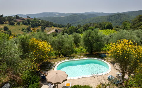 Casa Livia: Piscina, Mueble Para Exteriores, Recurso, Jardín, Eco Hotel, Hacienda, Paisajismo, Silla, Inmuebles, Patio Interior