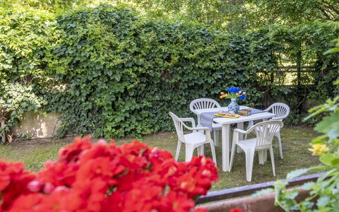 Suite Vogel: Hoja, Verde, Arbusto, Jardín, Cobertura Del Suelo, Primavera, Sombra, Patio Interior, Yarda, Paisajismo