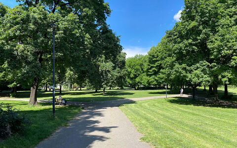 Suite Vogel: Tiempo De Día, Hierba, Hoja, Árbol, Entorno Natural, Rama, Naturaleza, Vegetación, Arbusto, Espacio Publico