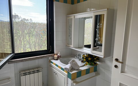 Green Hills 13: Arreglo De Tubería, Lavabo, Lavabo Del Baño, Diseño De Interiores, Grifo, Plomería, Baño, Mostrador, Habitación, Espejo