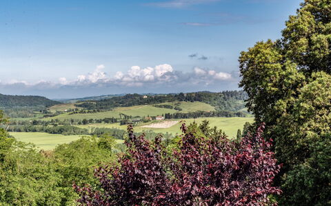 Tenuta i Mandorli, Pool, Wifi, Peccioli: Verde, Árbol, Hoja, Naturaleza, Entorno Natural, Accidentes Geográficos Montañosas, Paisaje Natural, Vegetación, Colina, Pradera