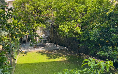 Corso Roma 15 Vacanze - Levanto: Verde, Hoja, Vegetación, Arbusto, Jardín, Cobertura Del Suelo, Primavera, Paisajismo, Patio Interior, Yarda