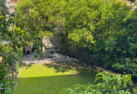 Corso Roma 15 Vacanze - Levanto: Verde, Hoja, Vegetación, Arbusto, Jardín, Cobertura Del Suelo, Primavera, Paisajismo, Patio Interior, Yarda